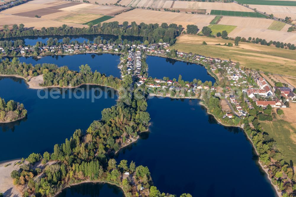 Aerial image Speyer - Riparian areas on the lake area of Mondsee and Binsfeldsee on street Wildentenweg in Speyer in the state Rhineland-Palatinate, Germany