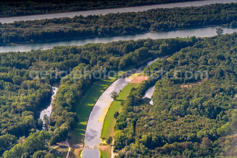 Rheinhausen from above - Curved loop of the riparian zones on the course of the river Nebenfluss zum Rhein in Rheinhausen in the state Baden-Wurttemberg, Germany