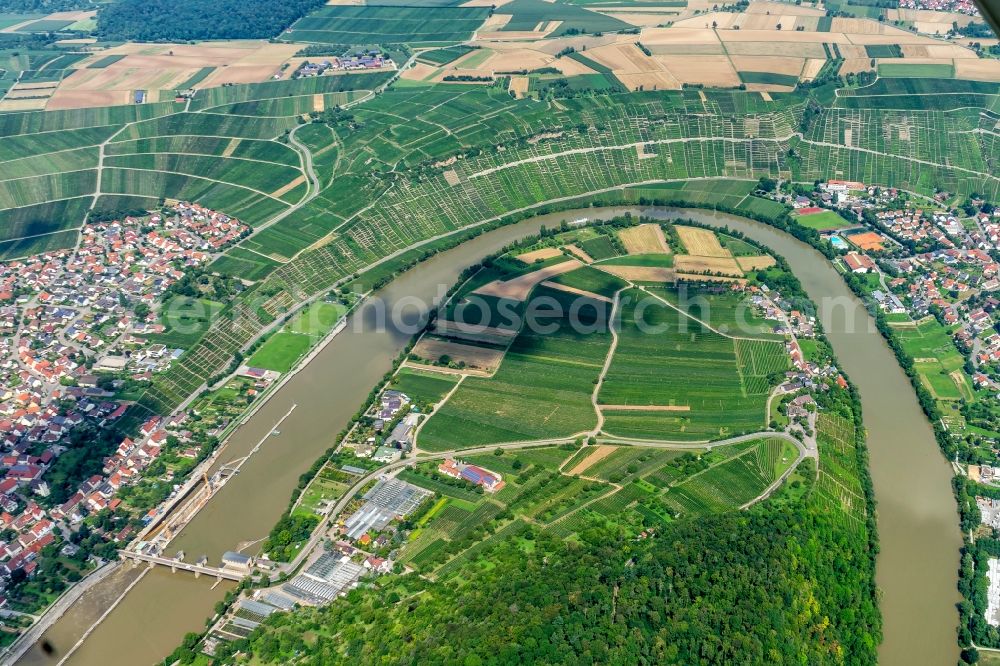 Hessigheim from above - Curved loop of the riparian zones on the course of the river Neckar - in Hessigheim in the state Baden-Wurttemberg, Germany