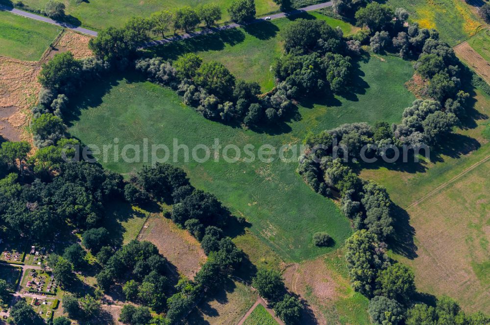 Braunschweig from the bird's eye view: Curved loop of the riparian zones on the course of the river Oker in Brunswick in the state Lower Saxony, Germany