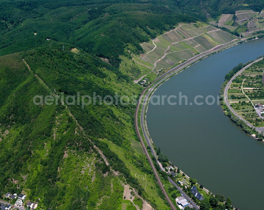 Boppard from above - Curved loop of the riparian zones on the course of the river of the Rhine river in Boppard in the state Rhineland-Palatinate, Germany