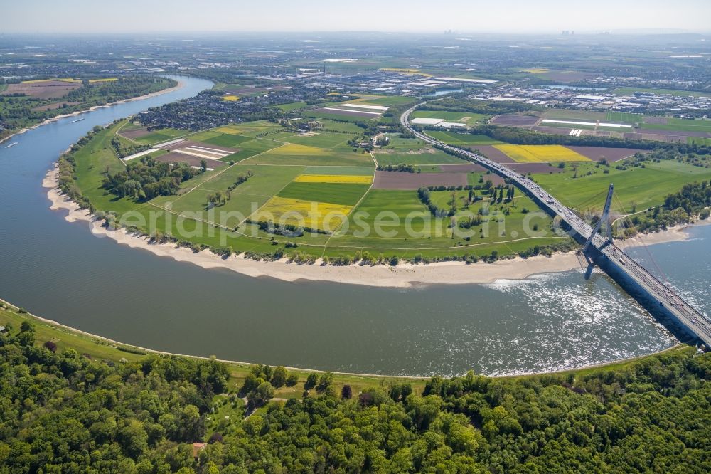 Düsseldorf from the bird's eye view: Curved loop of the riparian zones on the course of the river Rhine in the district Oberkassel in Duesseldorf in the state North Rhine-Westphalia, Germany