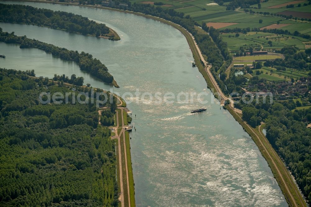 Rhinau from above - Curved loop of the riparian zones on the course of the river Rhine in Rhinau in Grand Est, France