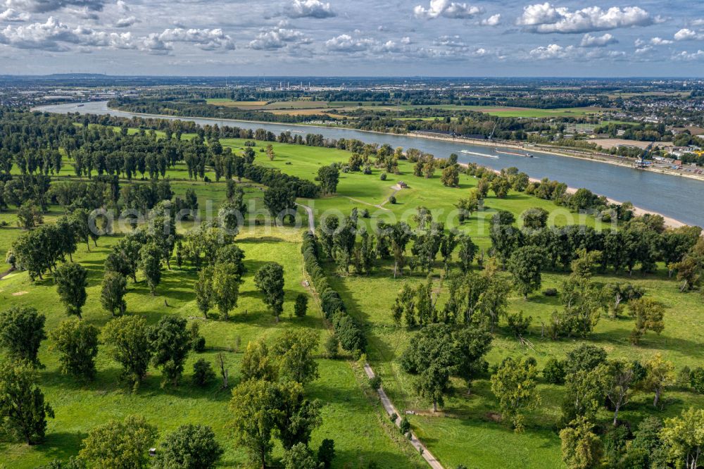 Aerial photograph Stürzelberg - Curved meanders - loop of the bank areas on the Rhine at the nature reserve Zonser Grind in Stuerzelberg in the state North Rhine-Westphalia, Germany