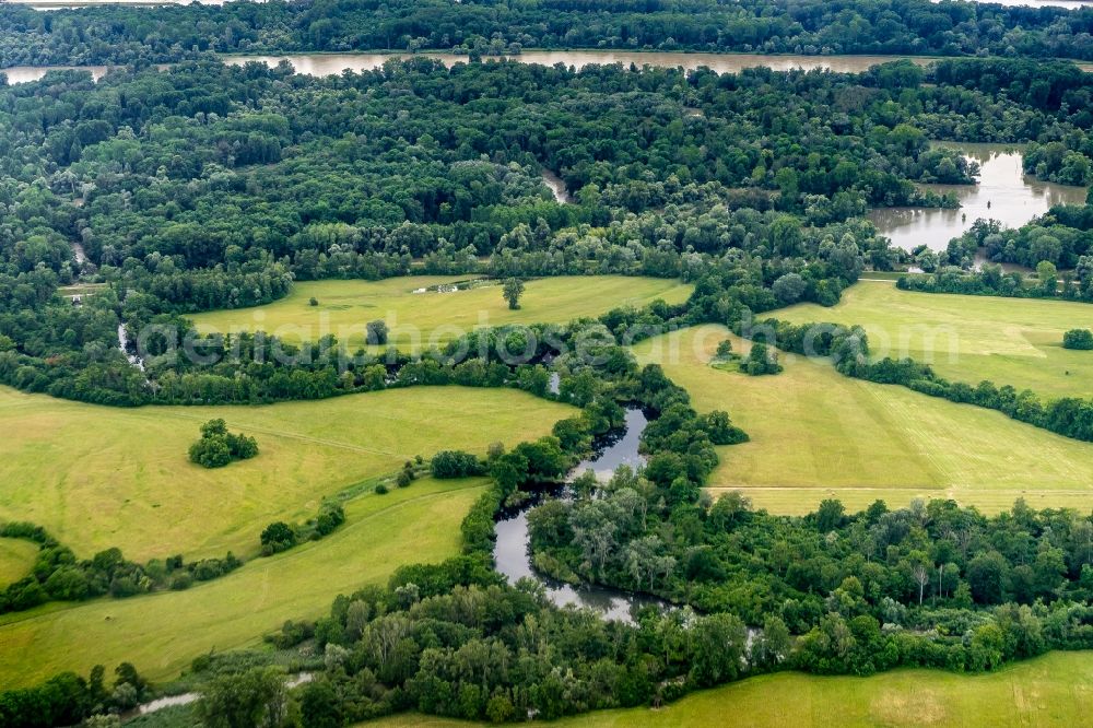 Aerial photograph Rheinau - Curved loop of the riparian zones on the course of the river Rhein in Rheinau in the state Baden-Wuerttemberg