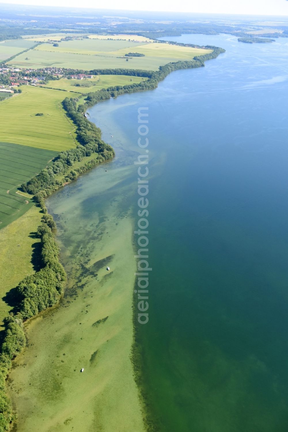 Rugensee from the bird's eye view: Riparian areas on the lake area of Rugen leke in Rugensee in the state Mecklenburg - Western Pomerania, Germany