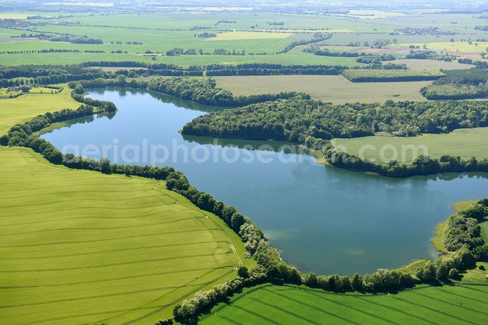 Aerial image Rugensee - Riparian areas on the lake area of Rugen leke in Rugensee in the state Mecklenburg - Western Pomerania, Germany