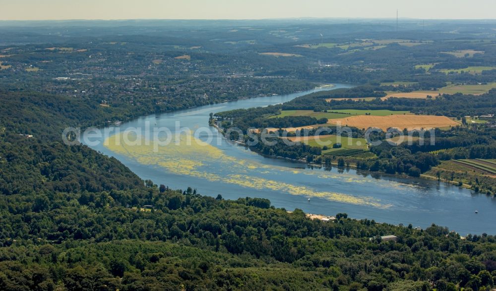 Essen from above - Curved loop of the riparian zones on the course of the river the Ruhr in Essen in the state North Rhine-Westphalia