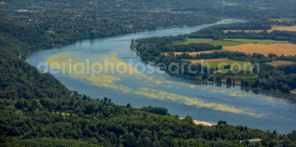 Essen from above - Curved loop of the riparian zones on the course of the river the Ruhr in Essen in the state North Rhine-Westphalia