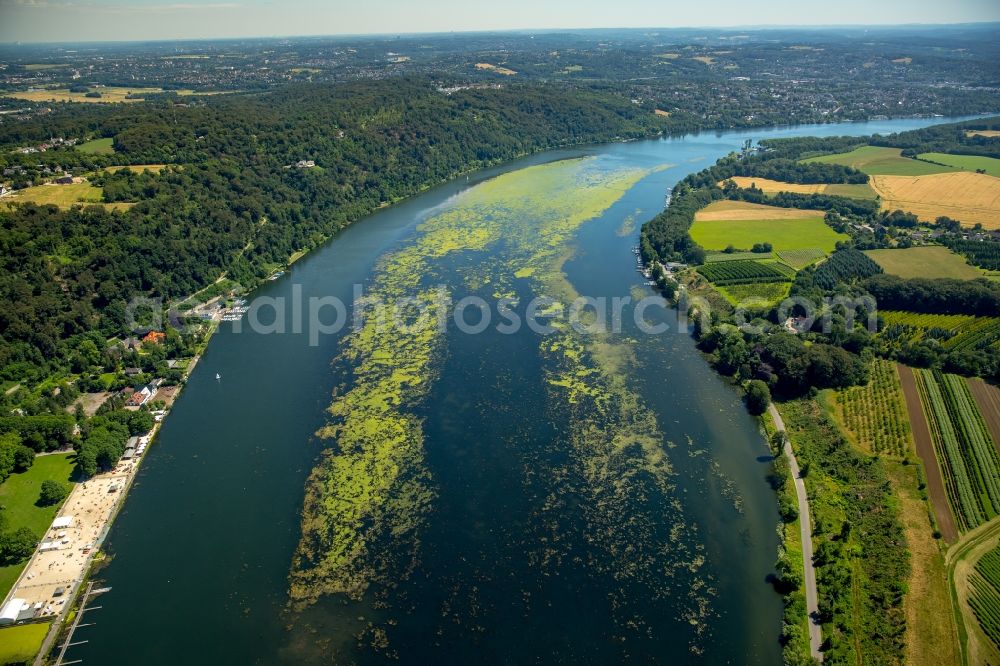 Aerial image Essen - Curved loop of the riparian zones on the course of the river the Ruhr in Essen in the state North Rhine-Westphalia