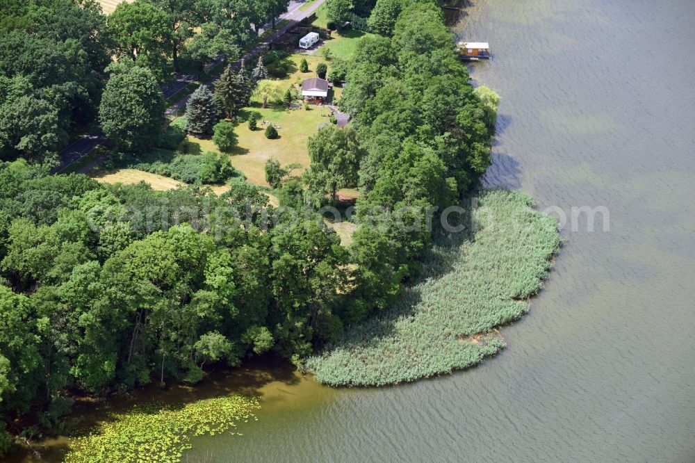 Wustrau-Altfriesack from the bird's eye view: Riparian areas on the lake area of Ruppiner See in Wustrau-Altfriesack in the state Brandenburg, Germany