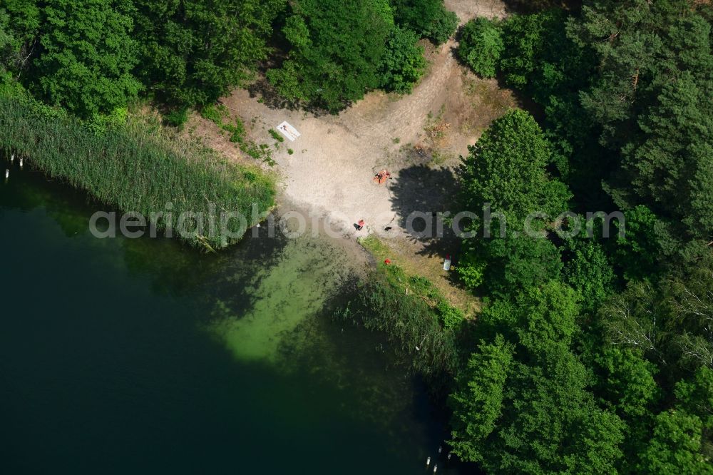 Biesenthal from above - Sandy beach areas on the Kleiner Wukensee in Biesenthal in the state Brandenburg, Germany