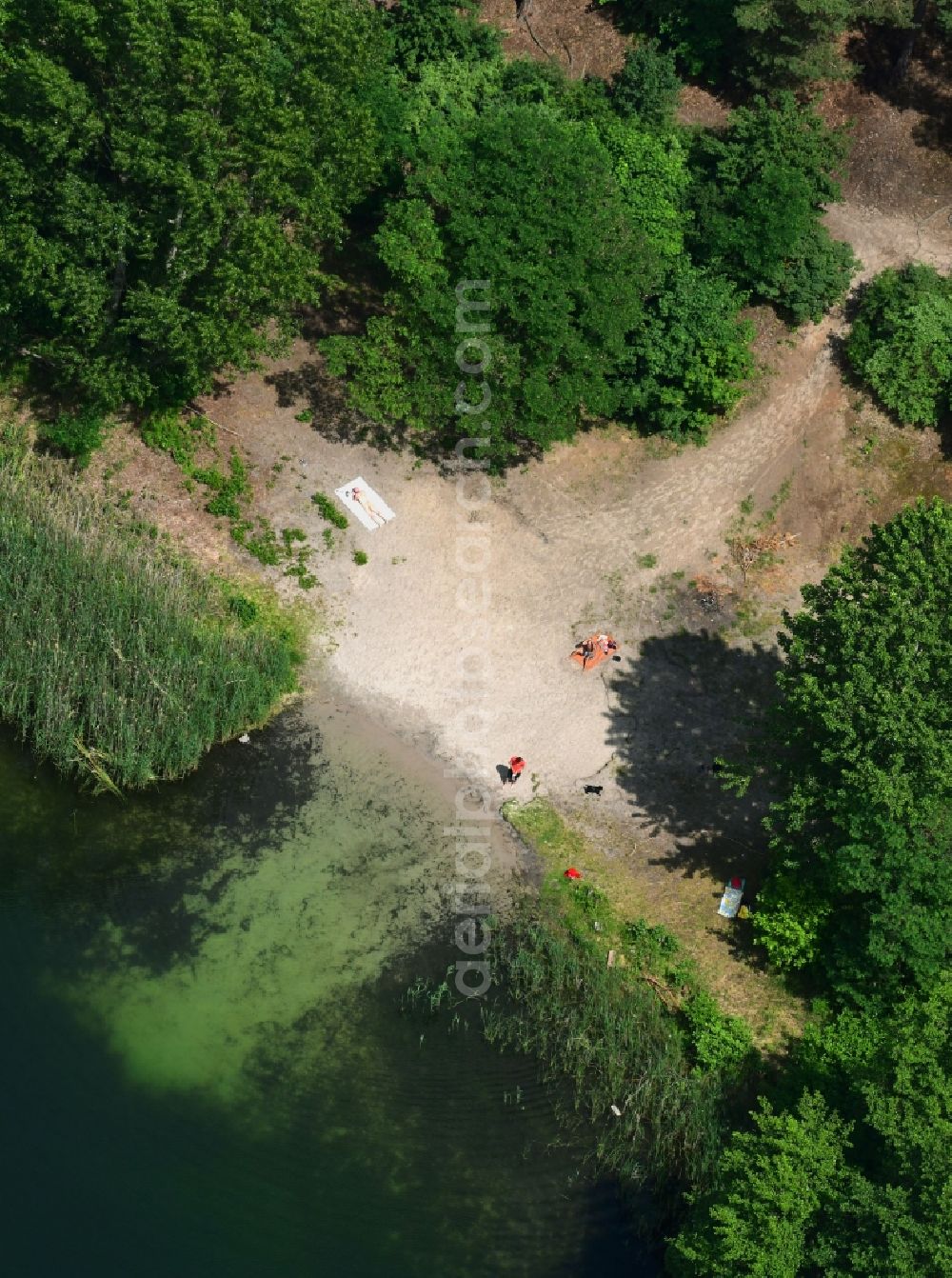 Biesenthal from the bird's eye view: Sandy beach areas on the Kleiner Wukensee in Biesenthal in the state Brandenburg, Germany