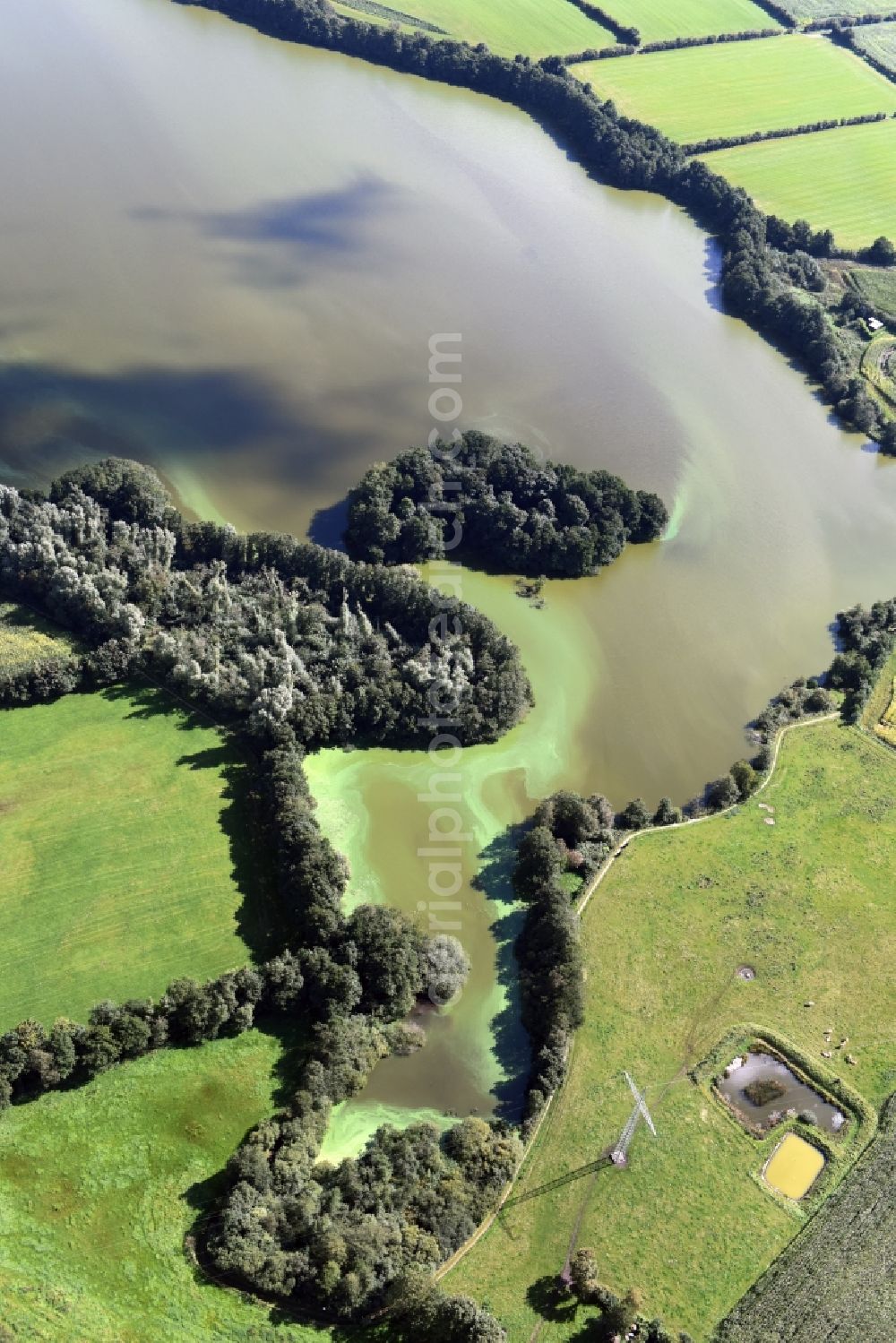 Aerial image Sankelmark - Riparian areas on the lake area of Sankelmarker See in Sankelmark in the state Schleswig-Holstein