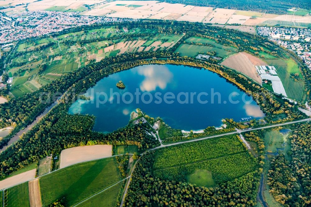 Aerial photograph Eggenstein-Leopoldshafen - Riparian areas on the lake area of in a forest area in Eggenstein-Leopoldshafen in the state Baden-Wurttemberg, Germany