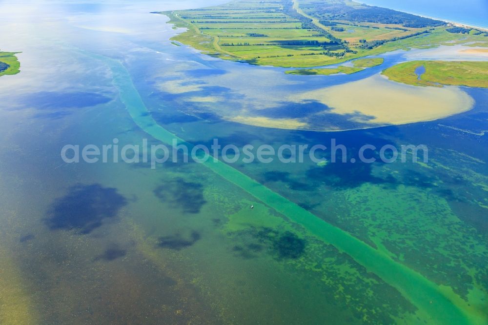 Zingst from above - Riparian areas on the lake area of Barther Bodden - Grosser Werder in Zingst in the state Mecklenburg - Western Pomerania, Germany