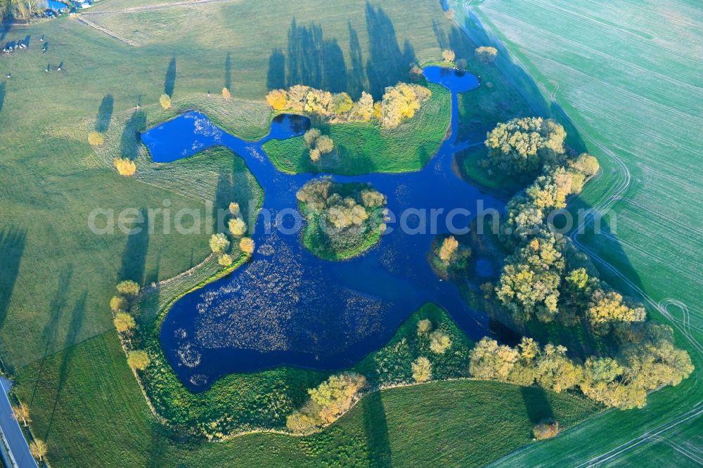 Aerial photograph Beggerow - Riparian areas on the lake area of in Beggerow in the state Mecklenburg - Western Pomerania, Germany