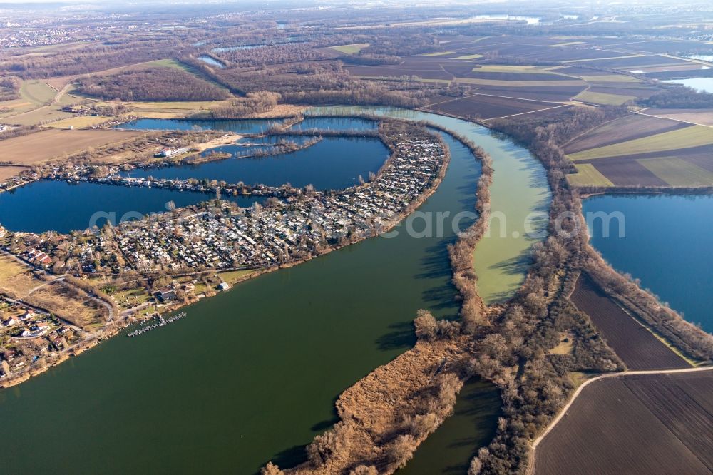 Altrip from the bird's eye view: Riparian areas on the lake area of Blaue Adria and the old rhine of Neuhofen with leisure area in Altrip in the state Rhineland-Palatinate