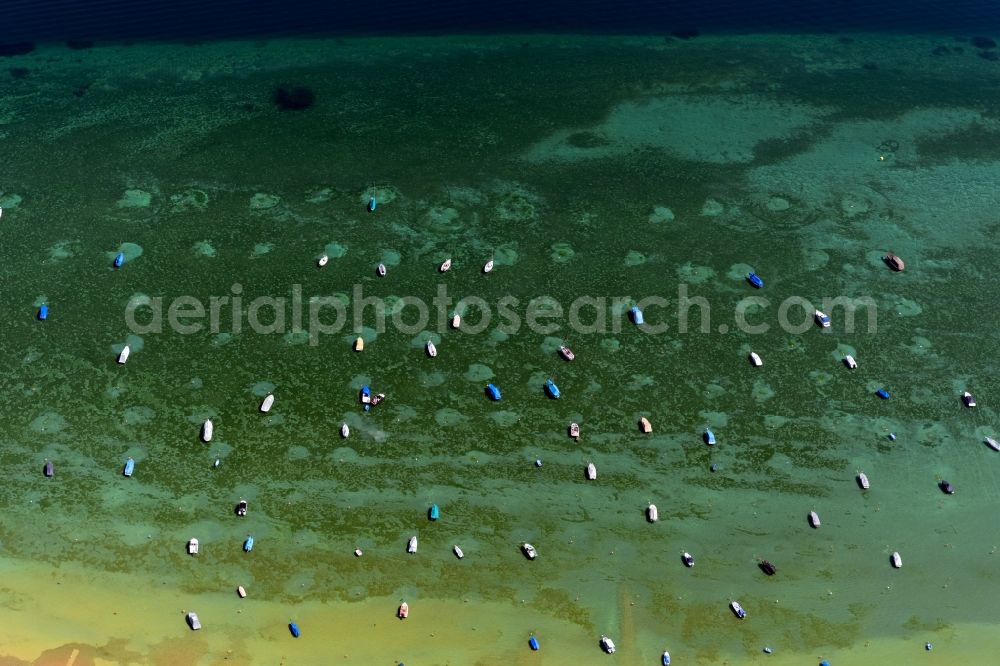 Aerial photograph Münsterlingen - Riparian areas on the lake area of Bodensee Obersee in Muensterlingen in the canton Thurgau, Switzerland