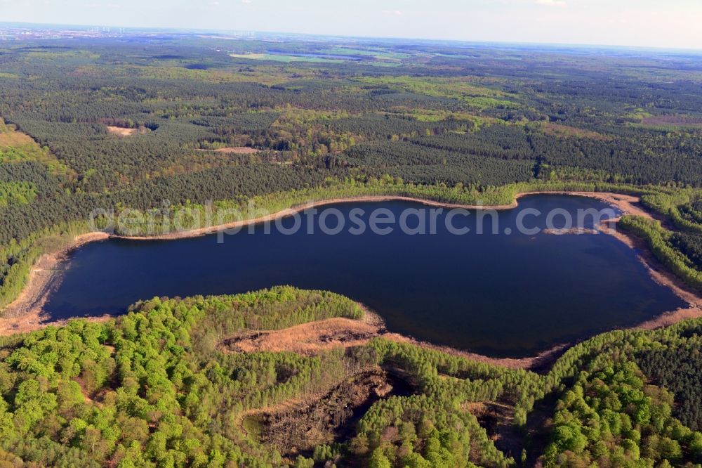 Aerial image Temmen-Ringenwalde - Riparian areas on the sea area of Briesensee in Temmen-Ringenwalde in the state Brandenburg