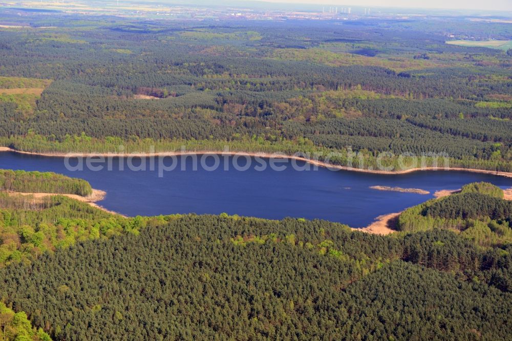 Aerial photograph Temmen-Ringenwalde - Riparian areas on the sea area of Briesensee in Temmen-Ringenwalde in the state Brandenburg