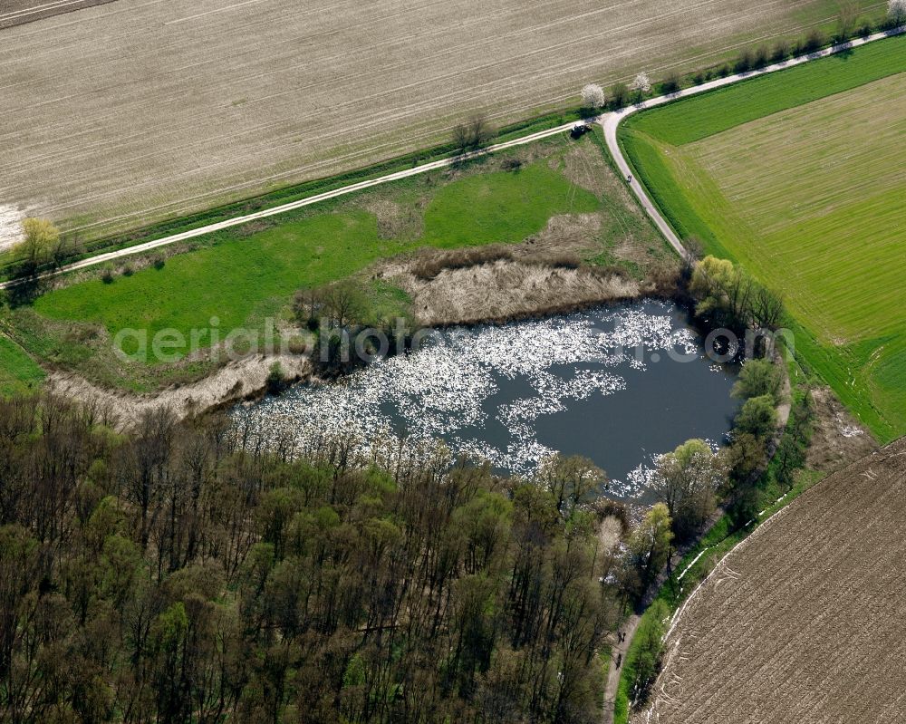 Sparwiesen from above - Riparian areas on the lake area of Charlottensee in Sparwiesen in the state Baden-Wuerttemberg, Germany