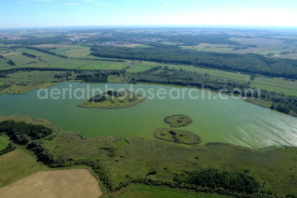 Aerial photograph Börgerende-Rethwisch - Riparian areas on the lake area of Conventer See in the district Boergerende in Boergerende-Rethwisch in the state Mecklenburg - Western Pomerania