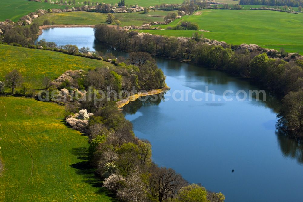 Dolgen from the bird's eye view: Riparian areas on the lake area of Dolgener See in Dolgen Feldberger Seenlandschaft in the state Mecklenburg - Western Pomerania, Germany