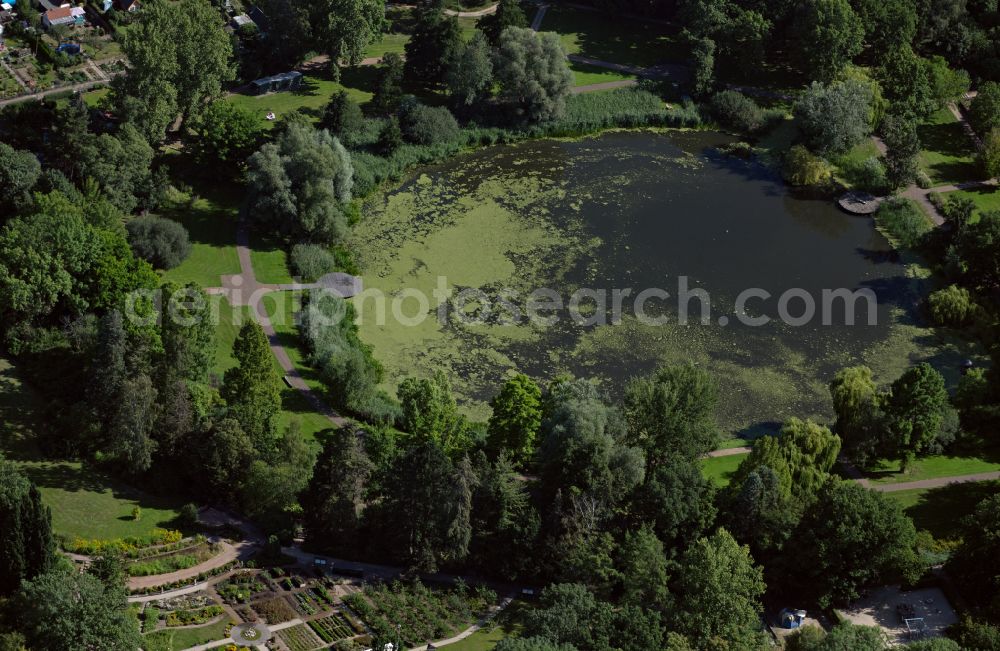 Braunschweig from the bird's eye view: Riparian areas on the lake area of Dowesee in a forest area in Brunswick in the state Lower Saxony, Germany