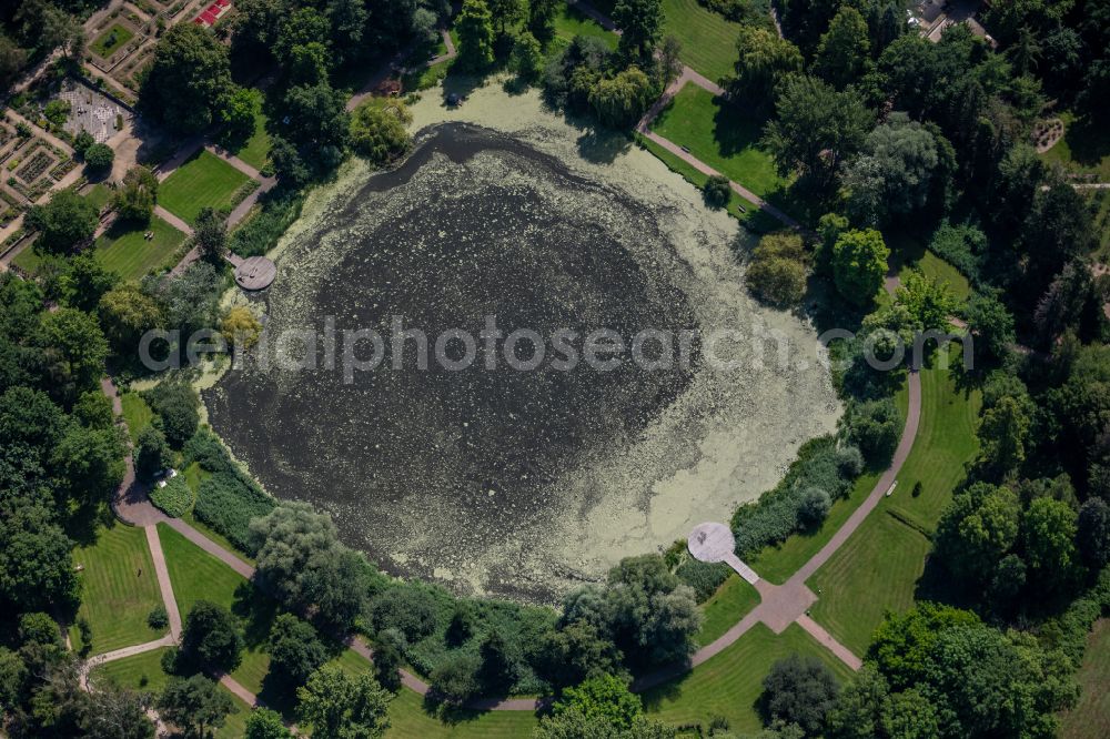 Aerial photograph Braunschweig - Riparian areas on the lake area of Dowesee in a forest area in Brunswick in the state Lower Saxony, Germany