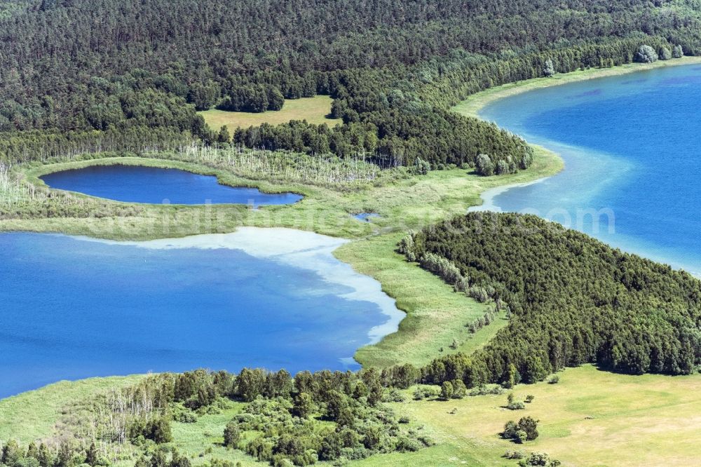 Alt Schwerin from above - Riparian areas on the lake area of Drewitzer See in Alt Schwerin in the state Mecklenburg - Western Pomerania, Germany