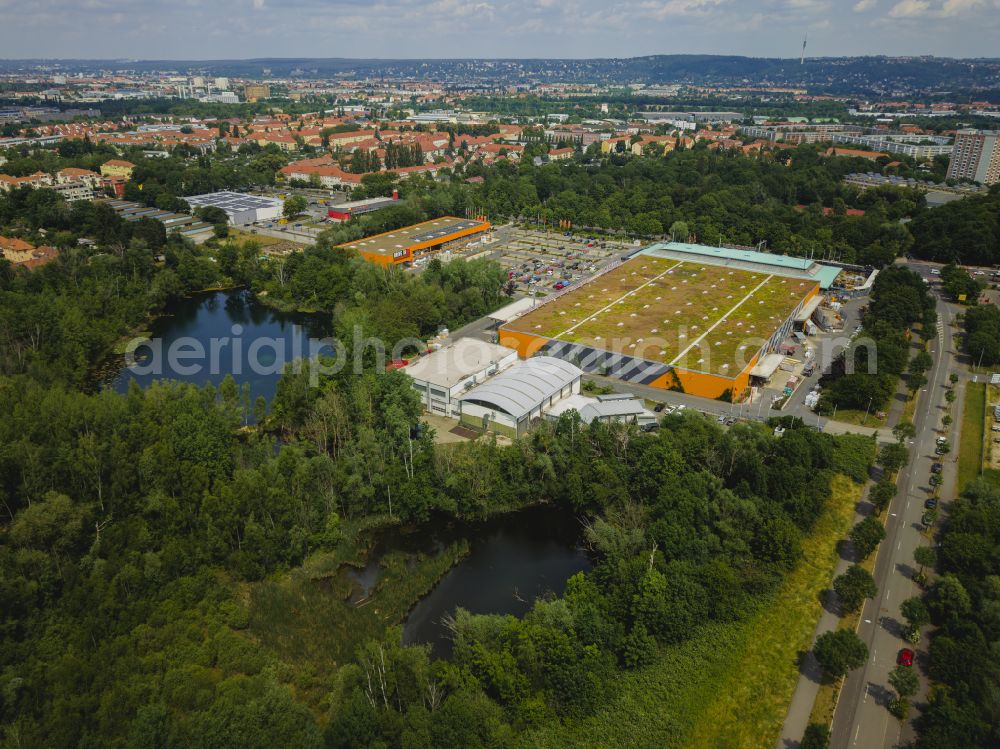 Dresden from the bird's eye view: Riparian areas on the lake area of in a forest area on street Hauboldstrasse in the district Prohlis in Dresden in the state Saxony, Germany