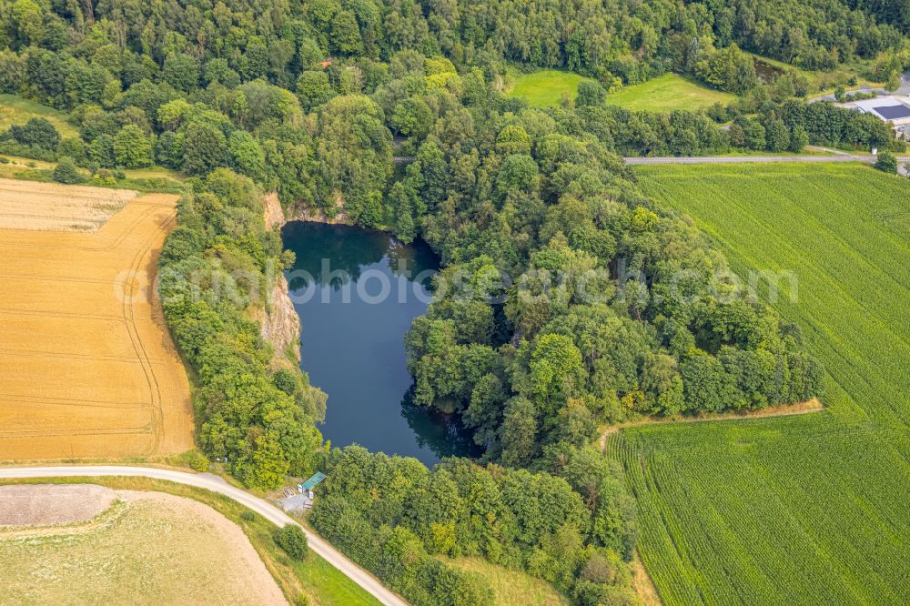 Drewer from the bird's eye view: Riparian areas on the lake area of in a forest area on street Am Steinbruch in Drewer in the state North Rhine-Westphalia, Germany