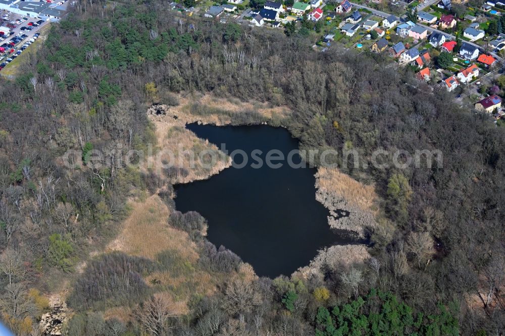 Berlin from the bird's eye view: Riparian areas on the lake area of Fauler See in the district Weissensee in Berlin, Germany