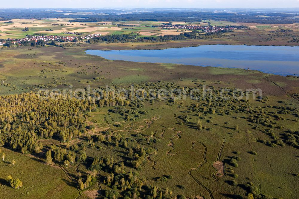 Aerial photograph Federsee - Riparian areas on the lake area of Federsee in Federsee in the state Baden-Wuerttemberg, Germany