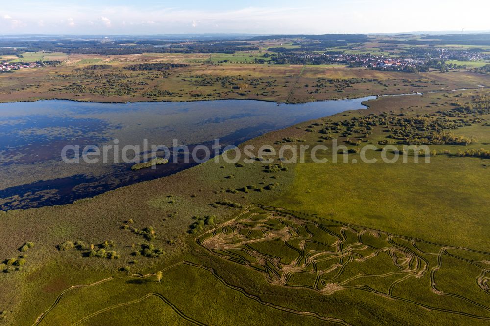 Federsee from the bird's eye view: Riparian areas on the lake area of Federsee in Federsee in the state Baden-Wuerttemberg, Germany