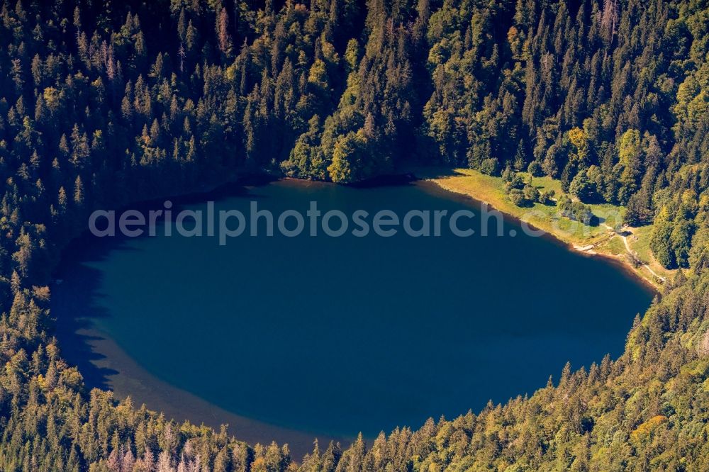 Aerial photograph Feldberg (Schwarzwald) - Riparian areas on the lake area of Feldsee in Feldberg (Schwarzwald) in the state Baden-Wurttemberg, Germany