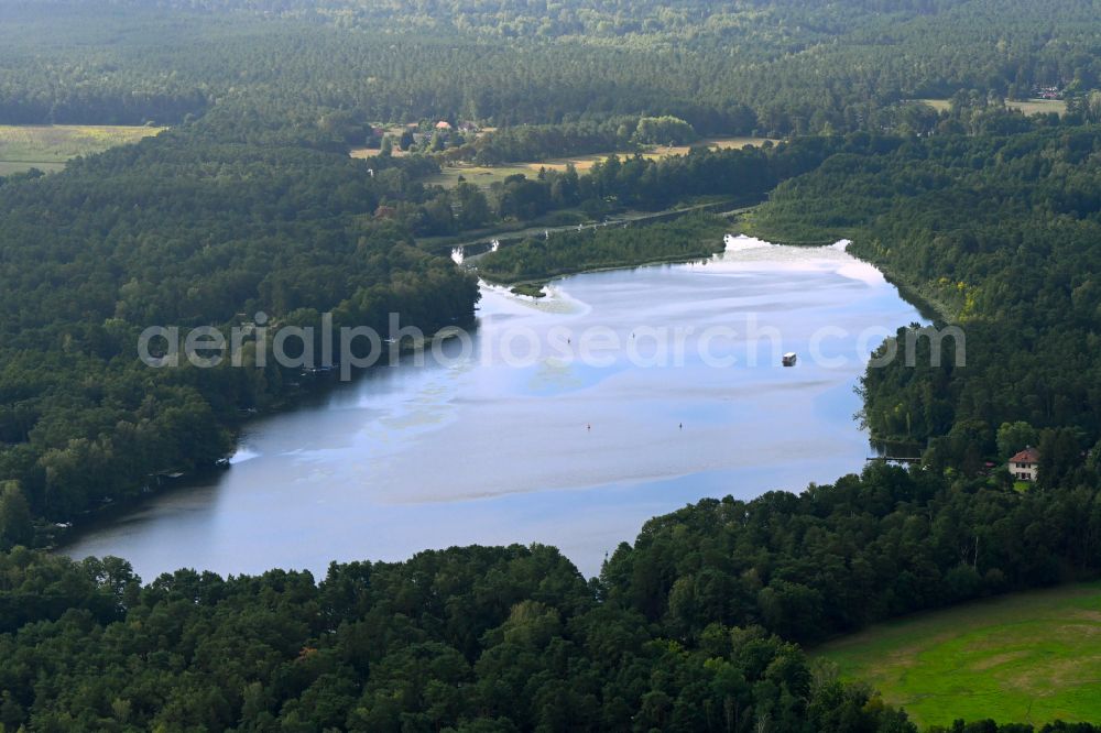 Aerial photograph Gräbendorf - Riparian areas on the lake area of Frauensee in a forest area in Graebendorf in the state Brandenburg, Germany