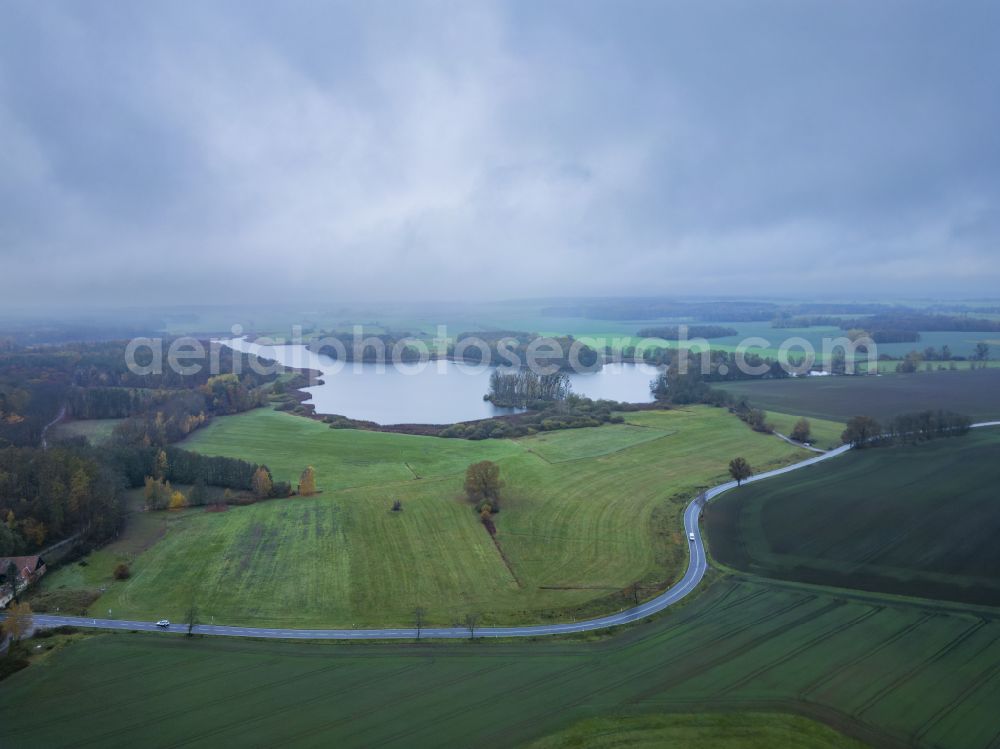 Aerial image Moritzburg - Banks of the Frauenteich lake in a forest area in Moritzburg in the state of Saxony, Germany