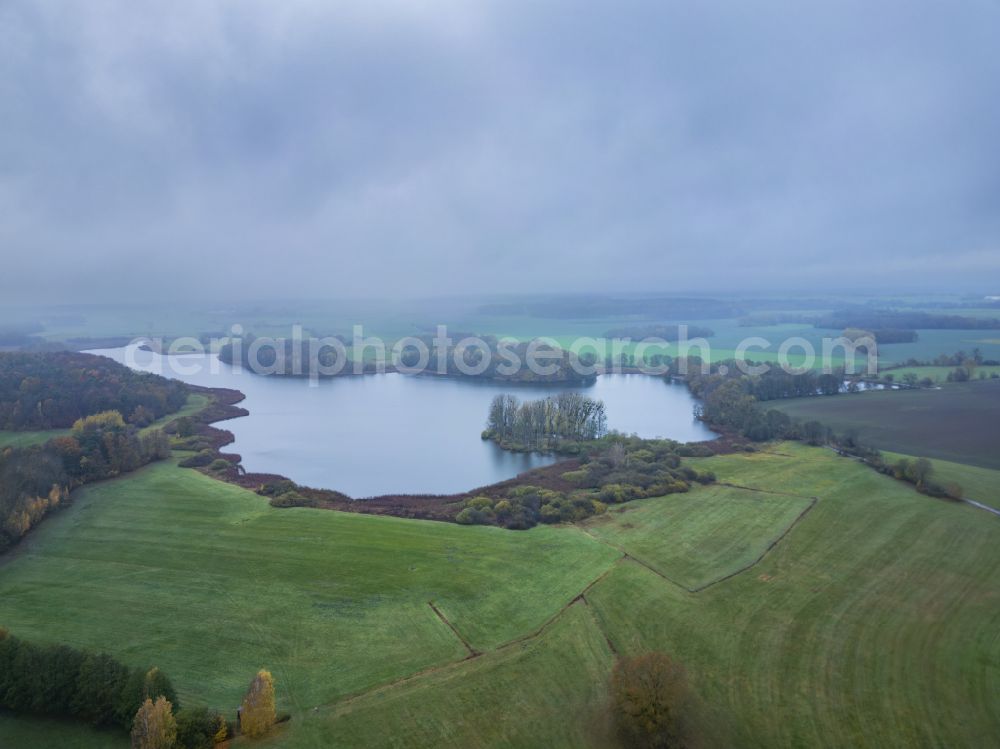 Aerial photograph Moritzburg - Banks of the Frauenteich lake in a forest area in Moritzburg in the state of Saxony, Germany