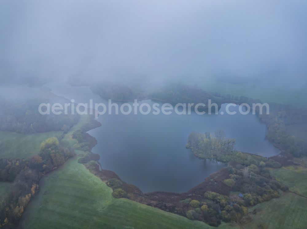 Moritzburg from above - Banks of the Frauenteich lake in a forest area in Moritzburg in the state of Saxony, Germany