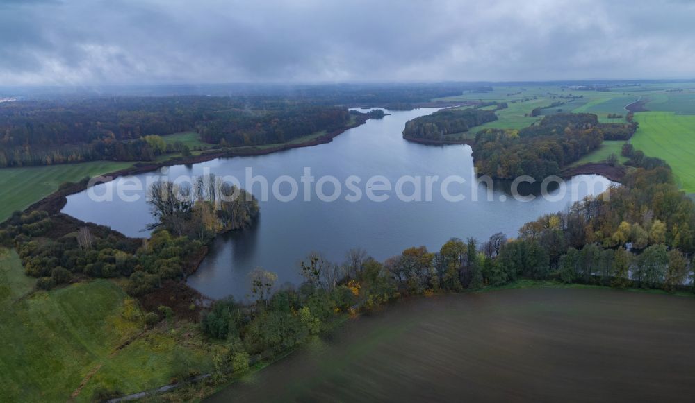 Moritzburg from the bird's eye view: Banks of the Frauenteich lake in a forest area in Moritzburg in the state of Saxony, Germany