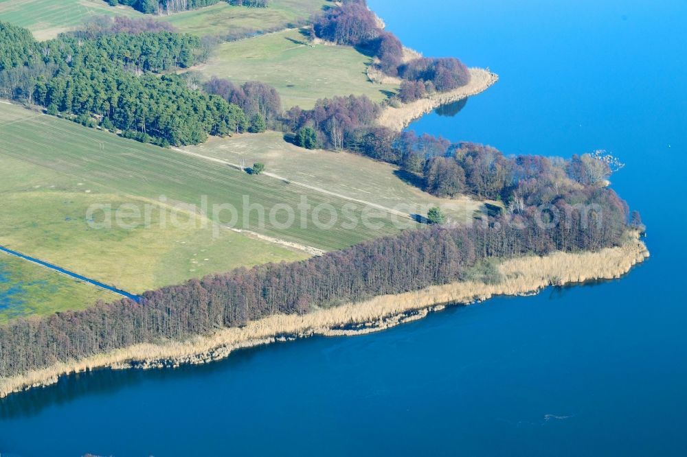 Tauche from the bird's eye view: Riparian areas on the lake area of Glower See in Tauche in the state Brandenburg, Germany