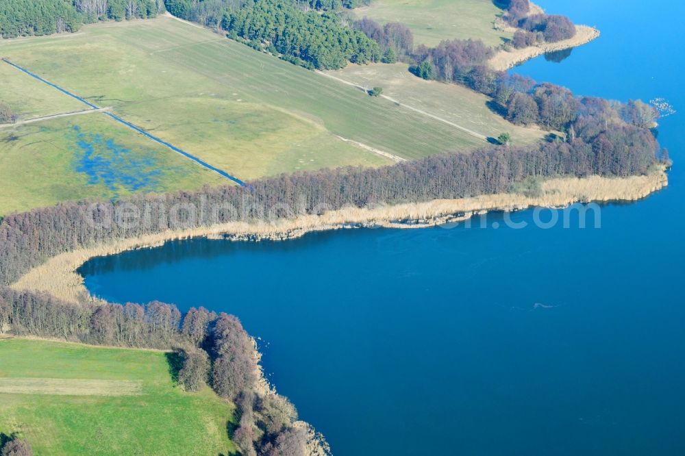 Aerial image Tauche - Riparian areas on the lake area of Glower See in Tauche in the state Brandenburg, Germany