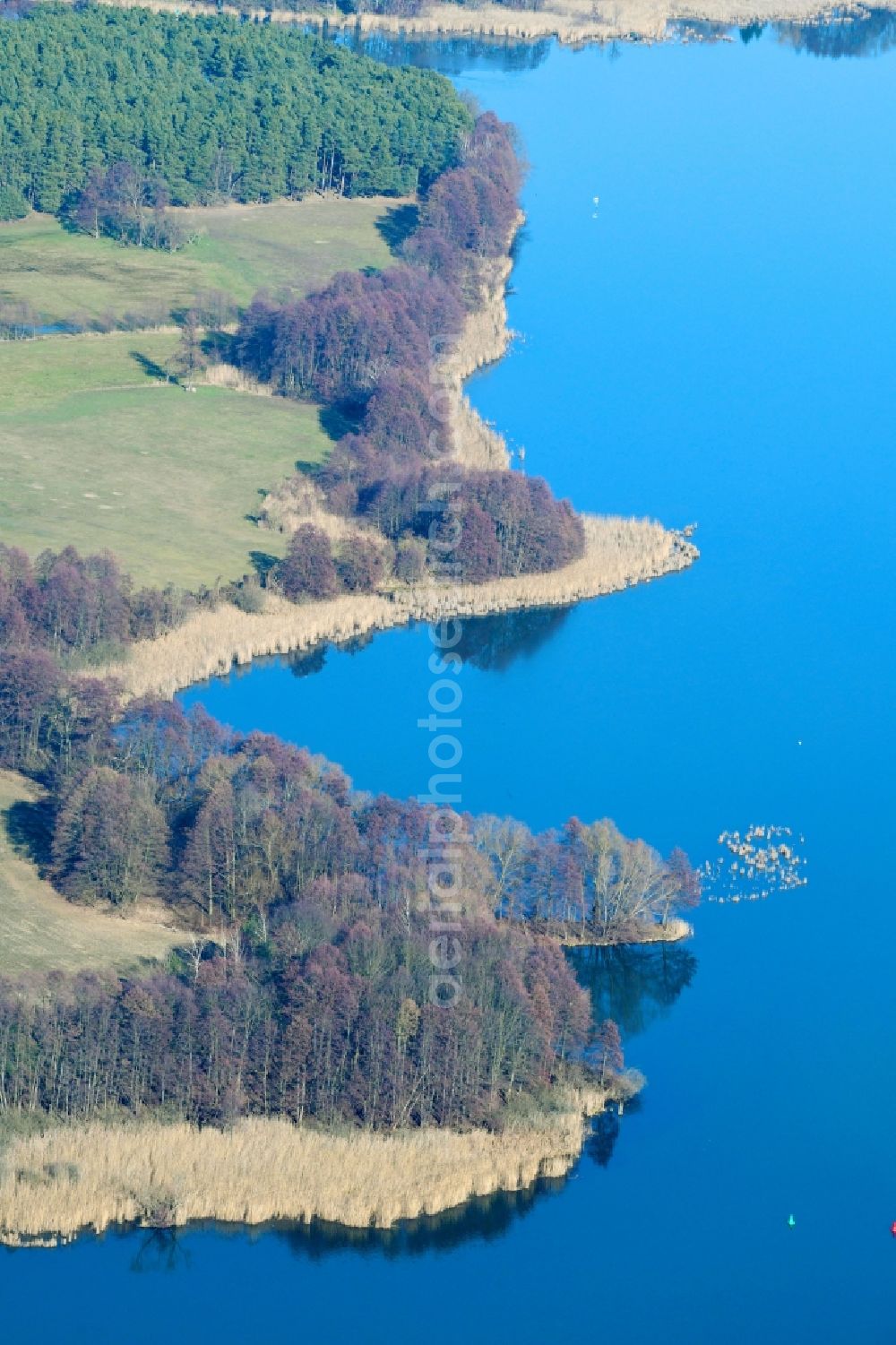 Aerial photograph Tauche - Riparian areas on the lake area of Glower See in Tauche in the state Brandenburg, Germany