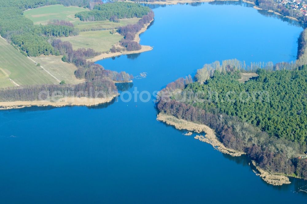 Tauche from above - Riparian areas on the lake area of Glower See in Tauche in the state Brandenburg, Germany