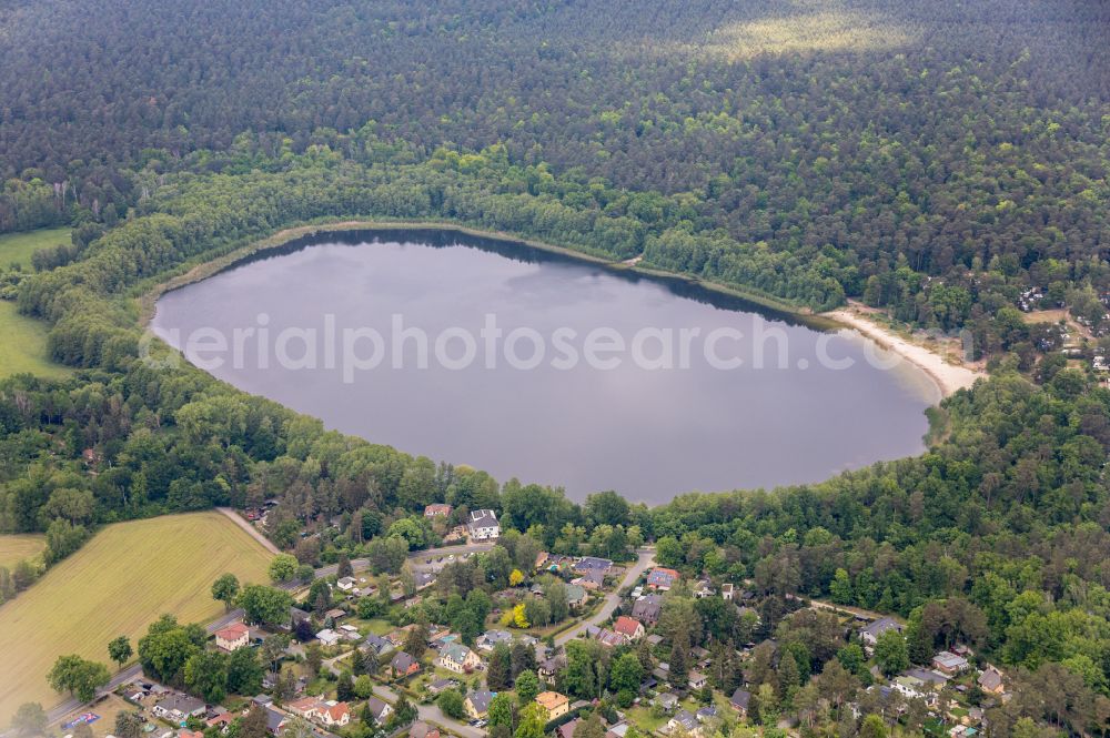 Wandlitz from the bird's eye view: Riparian areas on the lake area of Gorinsee on street Am Gorinsee in Wandlitz in the state Brandenburg, Germany