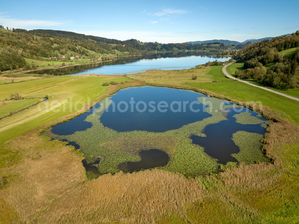 Immenstadt im Allgäu from the bird's eye view: Shore areas at the lake area of Grosser Alpsee in the valley of the mountain landscape in Immenstadt im Allgaeu in the state Bavaria, Germany