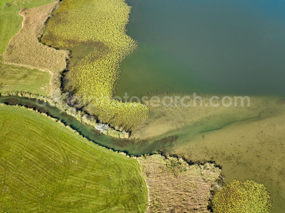 Immenstadt im Allgäu from above - Shore areas at the lake area of Grosser Alpsee in the valley of the mountain landscape in Immenstadt im Allgaeu in the state Bavaria, Germany