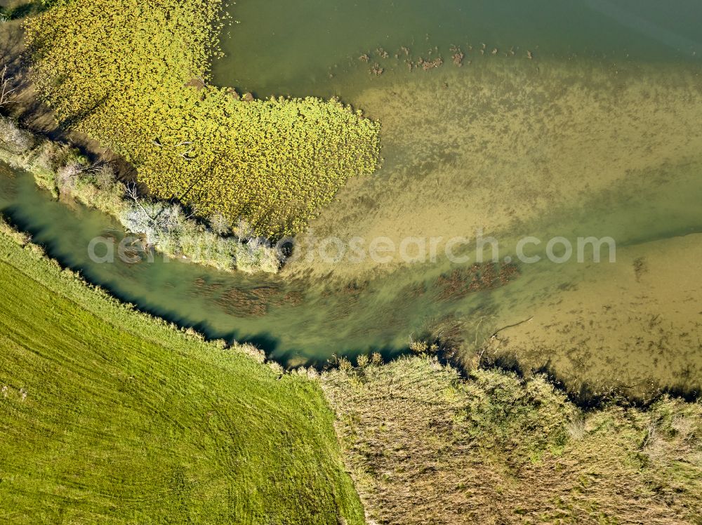 Immenstadt im Allgäu from the bird's eye view: Shore areas at the lake area of Grosser Alpsee in the valley of the mountain landscape in Immenstadt im Allgaeu in the state Bavaria, Germany